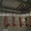 High Automatic complete Pig Slaughter plant