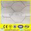 Galvanized PVC 1/2 Inch Hexagonal Chicken Wire Mesh