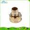Forged Brass 3/4'' Brass hose female adapter/brass pipe fitting quick connector/fuel tube adapter