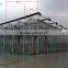 Polycarbonate Covered Greenhouse For Ecnomic Use/Agriculture Planting Greenhouse