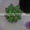 CHY040920 Selling Artificial Plants Succulent tropical Plant Artificial Desert Plants