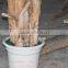 Artificial wholesales decorative big banana trees