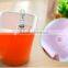Self watering planter flower pot home office garden water level indicator