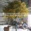 artificial gingko tree for decoration,fake gingko tree