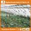Heracles trade saaurance greenhouse plastic cover -uv treated plastic film for greenhouse agricultural