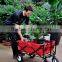 Picnic/Shopping Cart