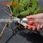 All Kinds Of Dissimilarity Professional Stainless Trimmer Garden Pruner