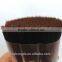 Synthetic Bristle (Nylon)- IMB Black Filament with Brown tips