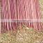 Bamboo garden canes growing sticks for planting support DYED BROWN