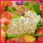 flower girl shoes wholesale WSF-003