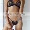 New Lace Bra Brief set transparent panty girls pics mature women plus size lingerie Underwear set bra panty new design