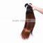 Black Rose Sleek and Silky Straight Peruvian Ombre Hair Weaves 1B/30 Peruvian Human Hair Bundles