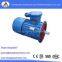 DSB series explosion-proof motor