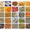 ?Core Filling Snacks Processing Line