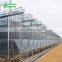 Vegetable Farming Large Scale Glass Greenhouse