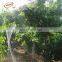 hdpe anti bird net, hdpe anti bird net plastic net