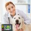 Veterinary Laser Equipment To Help Speed Overall Healing / Inflammation , Mobility Issues