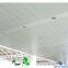 Champagne Gold Lobby High Side Windproof Aluminum Buckle Ceiling
