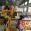 REEMOON Mandarin sorting machines, Mandarins sorting sizer and grading equipment Citrus sorting machines, size sorting, color sorting, Citrus sorting sizer and grading equipment