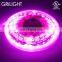 High quality cri 80 smd5050 rgb colour led strip lighting