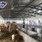 Free Design Cow House Prefab Steel Structure Dairy Cow Shed Farm