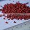 Natural Annatto Seeds/100% Pure Dried Raw Annatto Seed from Vietnam