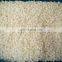 New Crop Top Grade Peeled IQF Frozen Apple Diced