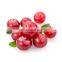 Cranberry Extract Proanthocyanidins Cranberry Fruit Powder