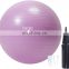 65CM Fitness Exercise Yoga Ball Great for physical therapy, athletic training, weight loss exercise