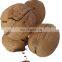 Factory outlet premium walnuts and kernels raw walnut  of low price