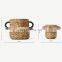 Hot Sale Set of 2 Natural Water Hyacinth Planter with Handle Handwoven Storage Basket Cheap Wholesale