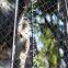 Balcony Protection Net, community kindergarten fall-proof net, fall-proof net
