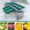 Sorter type onion sorting machine