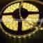 5050 led strip IP67 Silicon Tube waterproof smd led strip