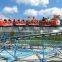 Super funny amusement park items Mini Roller Coaster for family with High Quality for Sale
