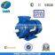 MS Aluminum Housing Three-Phase Induction Motor