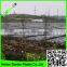 black anti root mulch,PE plastic weed control film,0.6 micron ground cover moisture control mulch