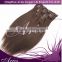 Wholesale 20inch 50cm Clip in Hair Extensions 100% human hair Extension 70gram OEM