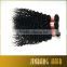 NEW Premium 4 Bundle Unprocessed Virgin Brazilian Kinky Curly Virgin Hair Brazilian Curly Hair Weave Human Hair Extensions