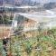 plastic BOP netting as Fruit cage/Anti bird net/Plant protection net