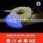 cheap led strip light 110V-240V rgbw strip led made in china