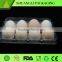 PVC PET PS material blister plastic egg packaging tray