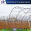 Low cost multi-span PVC/PE agricultural greenhouse for cucumber/tomato/lettuce/eggplant growing