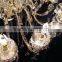 Large antique gold crystal chandelier pendant lighting for hotel,restaurant ,hall,villa