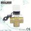 Electric Water Diverter Valve