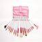 20 PCS Pink Professional Makeup Brush Sets Beauty Tools Cosmetic Brush with Bag