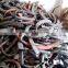 Bulk white yak Buffalo Ox horn/cow horn tip