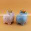 CERAMIC PIG PIGGY BANK COINS MONEY BOX SAFE SAVINGS CASH GIFT With Crown