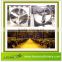 LEON Series Dairy Cow Fans For Poultry Farm