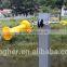 Electric Fencing Wire Rope Tape , Polywire Polyrope Polytape Fence Cable